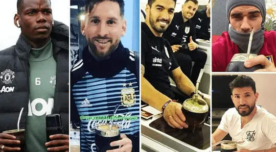 Yerba Maté: Prírodný predtréningový zázrak z Južnej Ameriky